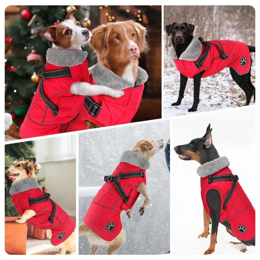 Doglay dog jacket six-sizes-guide product photo to help find a fit