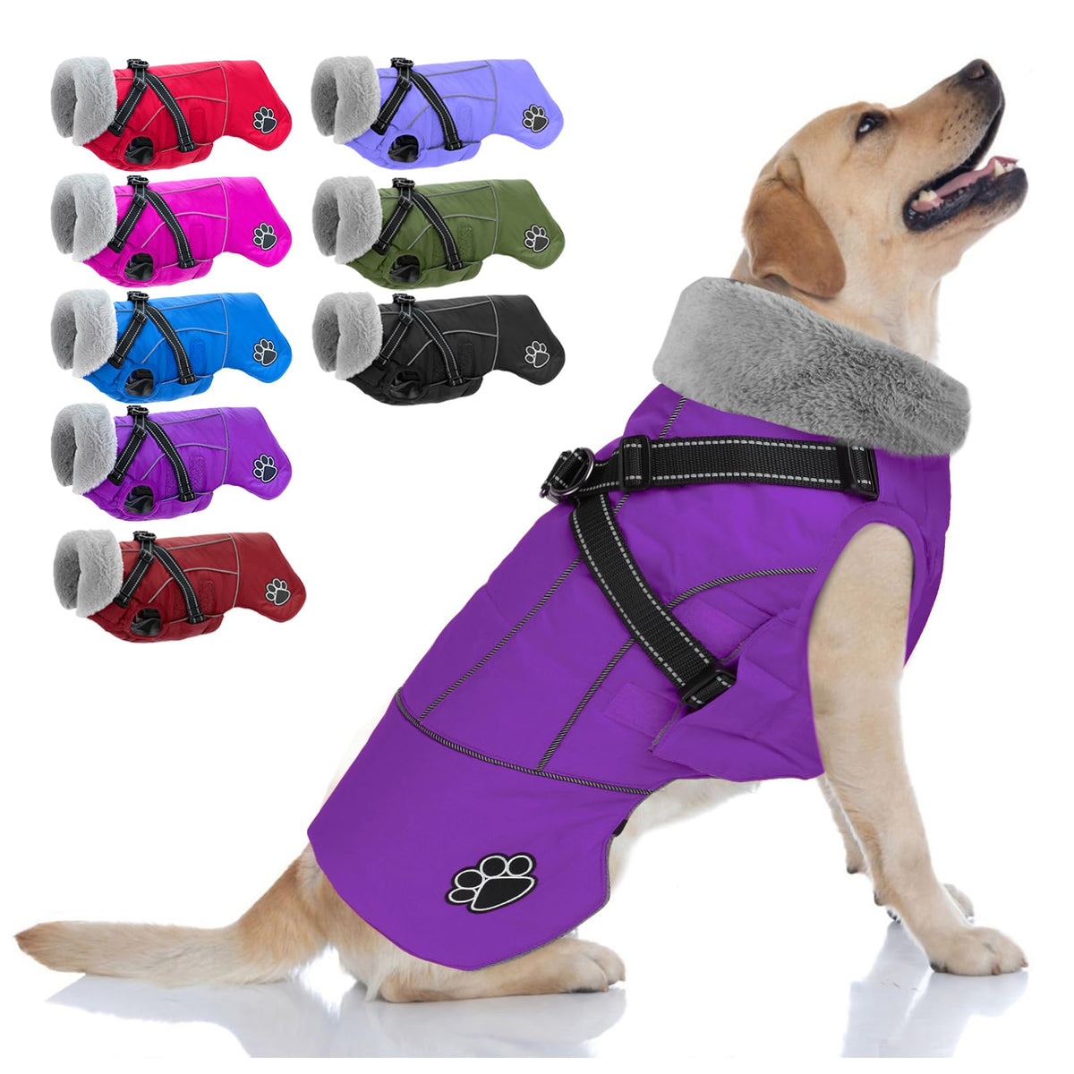 Doglay dog jacket waterproof overview improves outdoor dog comfort in rain.