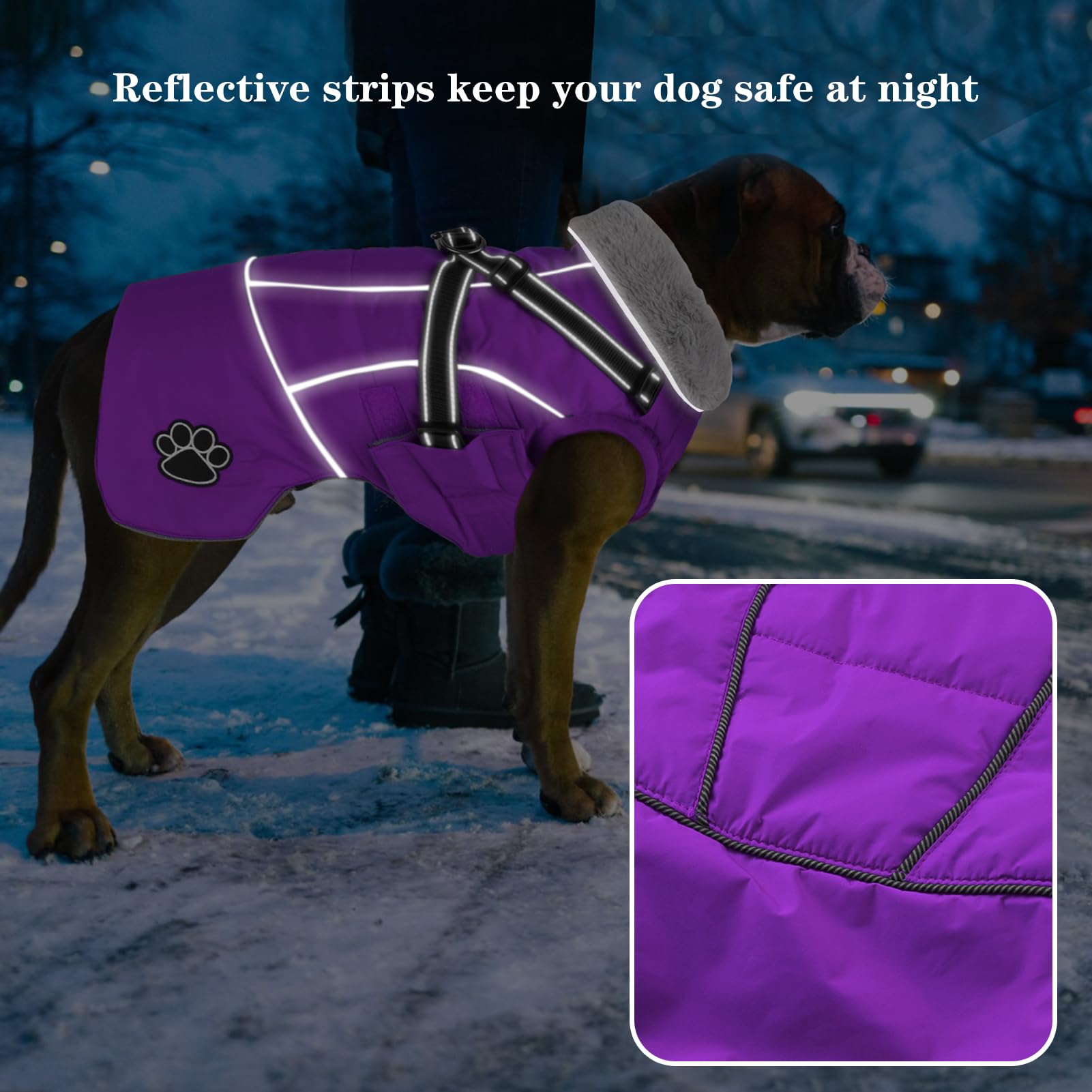 Doglay dog jacket waterproof and windproof keeps dogs dry in wet weather.
