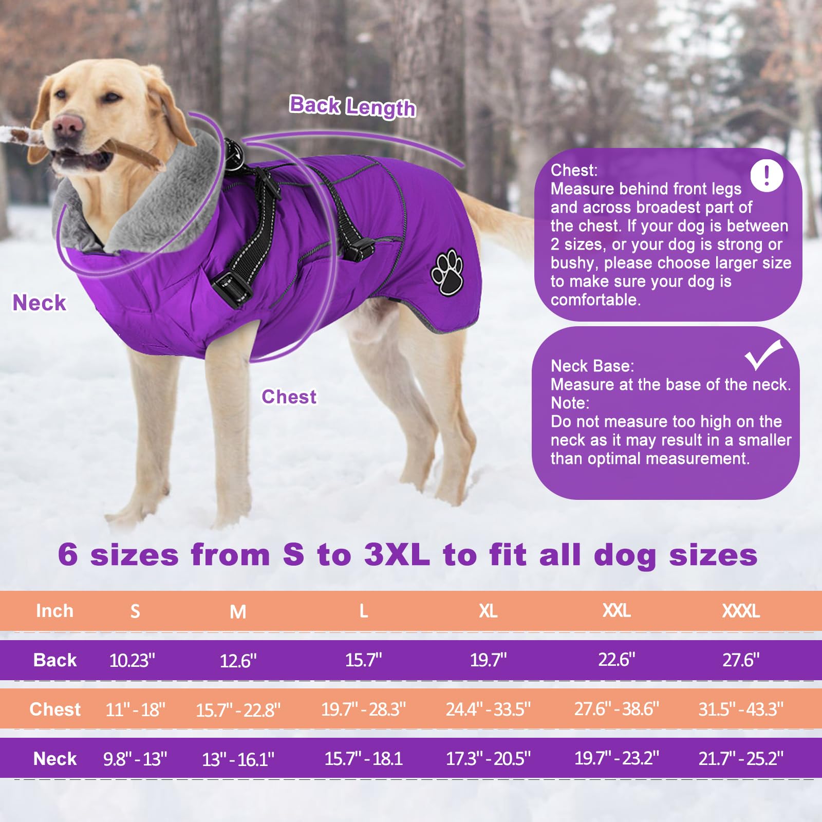 Doglay reflective winter coat, back view shows high visibility at night.