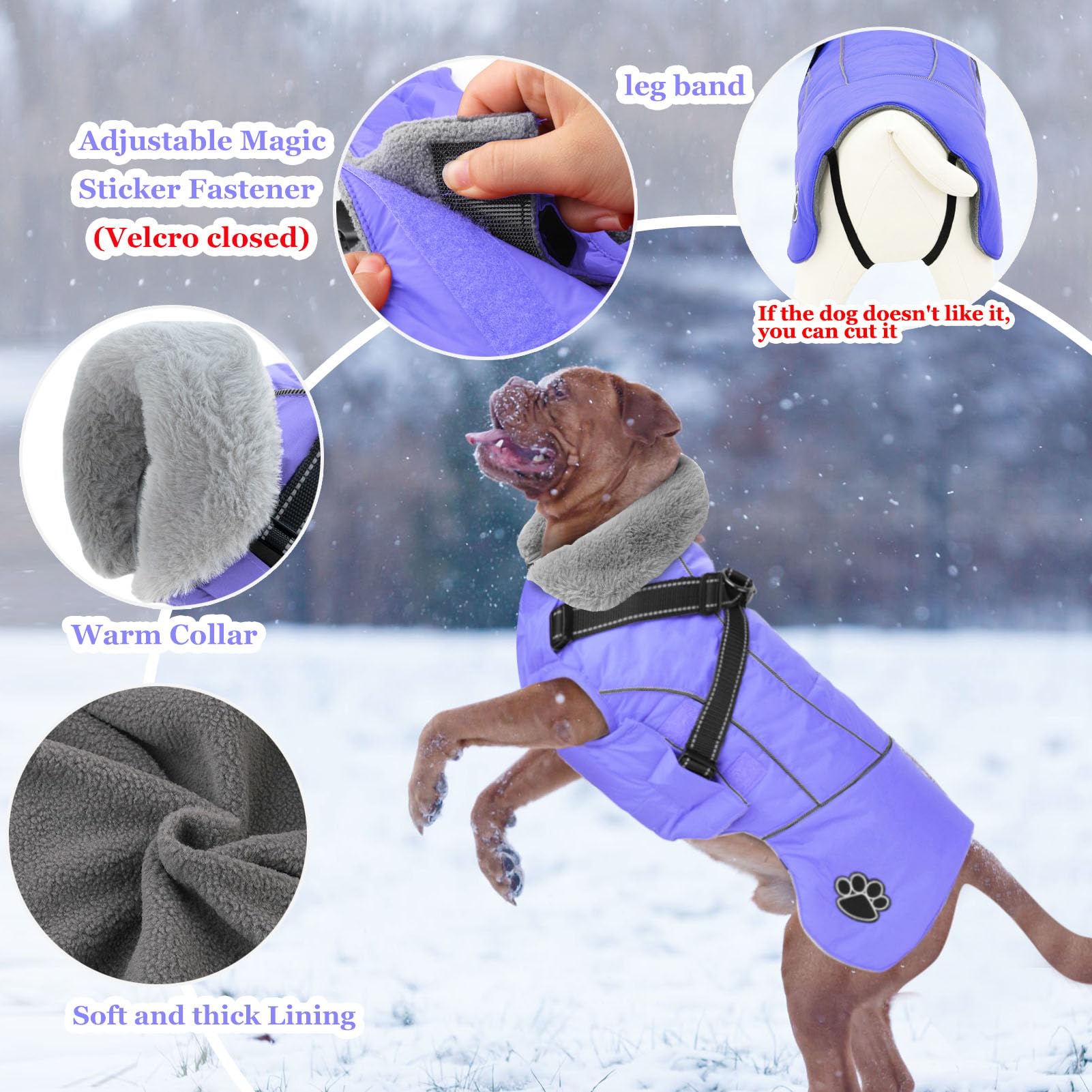 Doglay coat with reflective stripes for better night visibility during walks