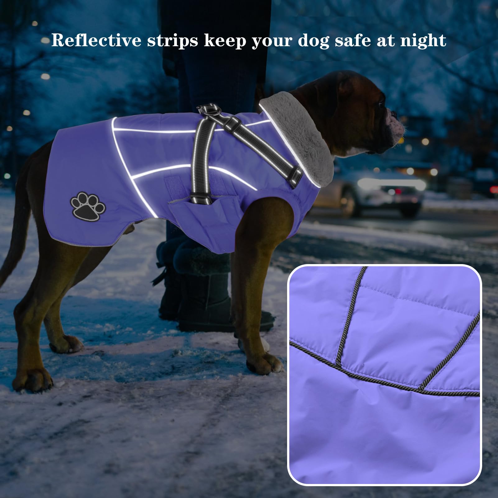 Doglay six sizes guide to finding the right dog coat fit
