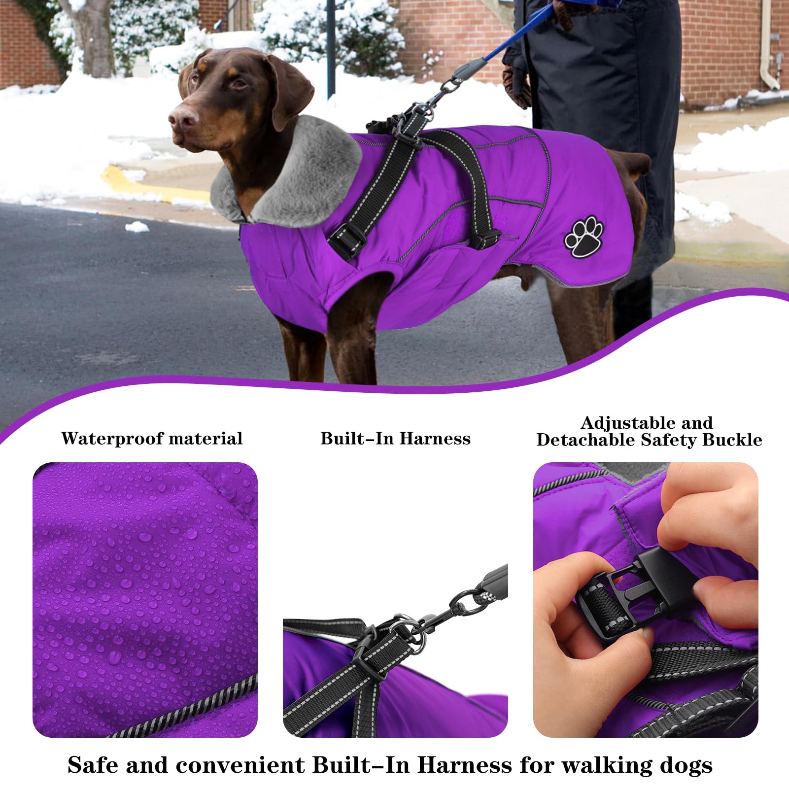 Doglay jacket features warm collar and soft lining for cold days