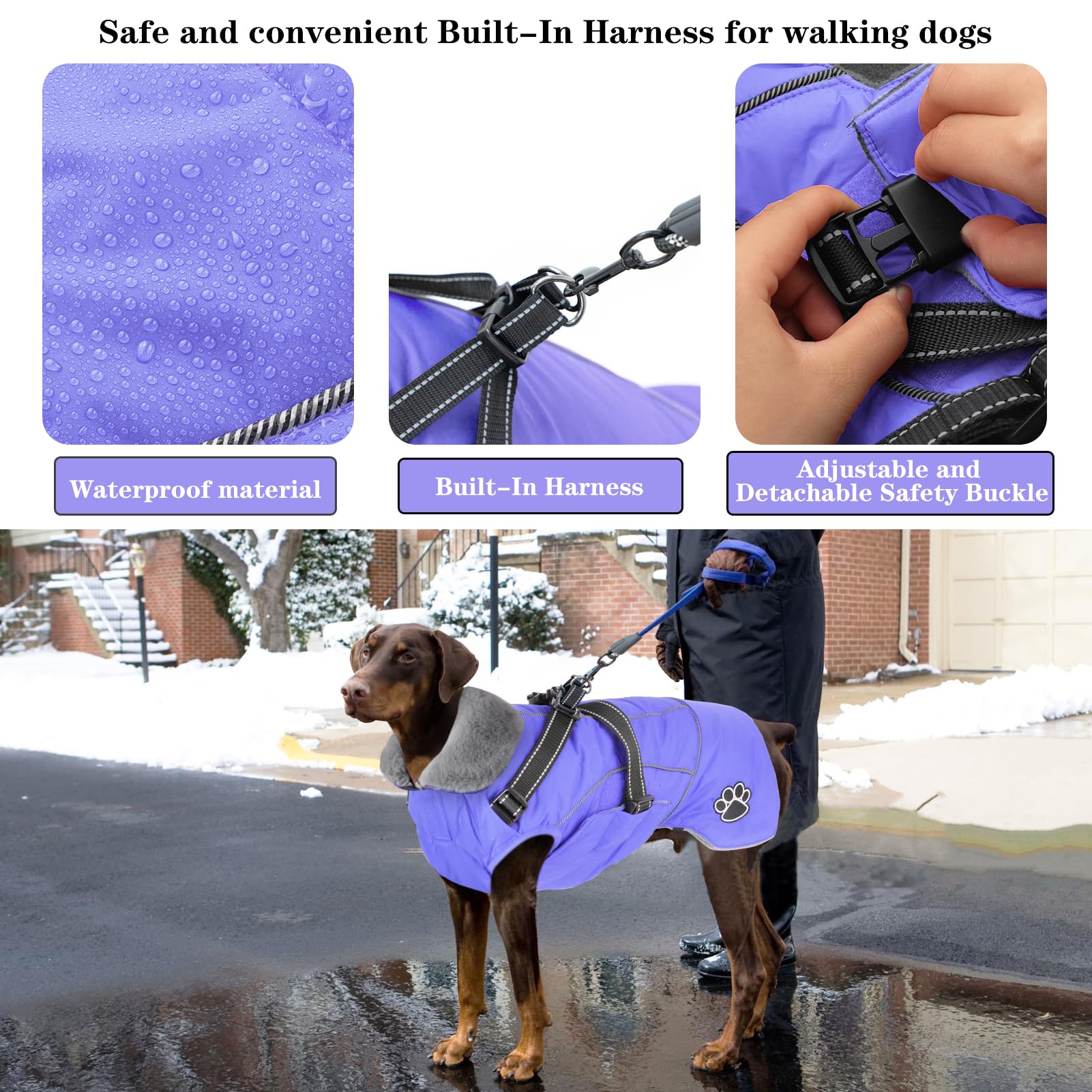 Doglay warm collar and plush lining delivering cozy warmth during cold walks