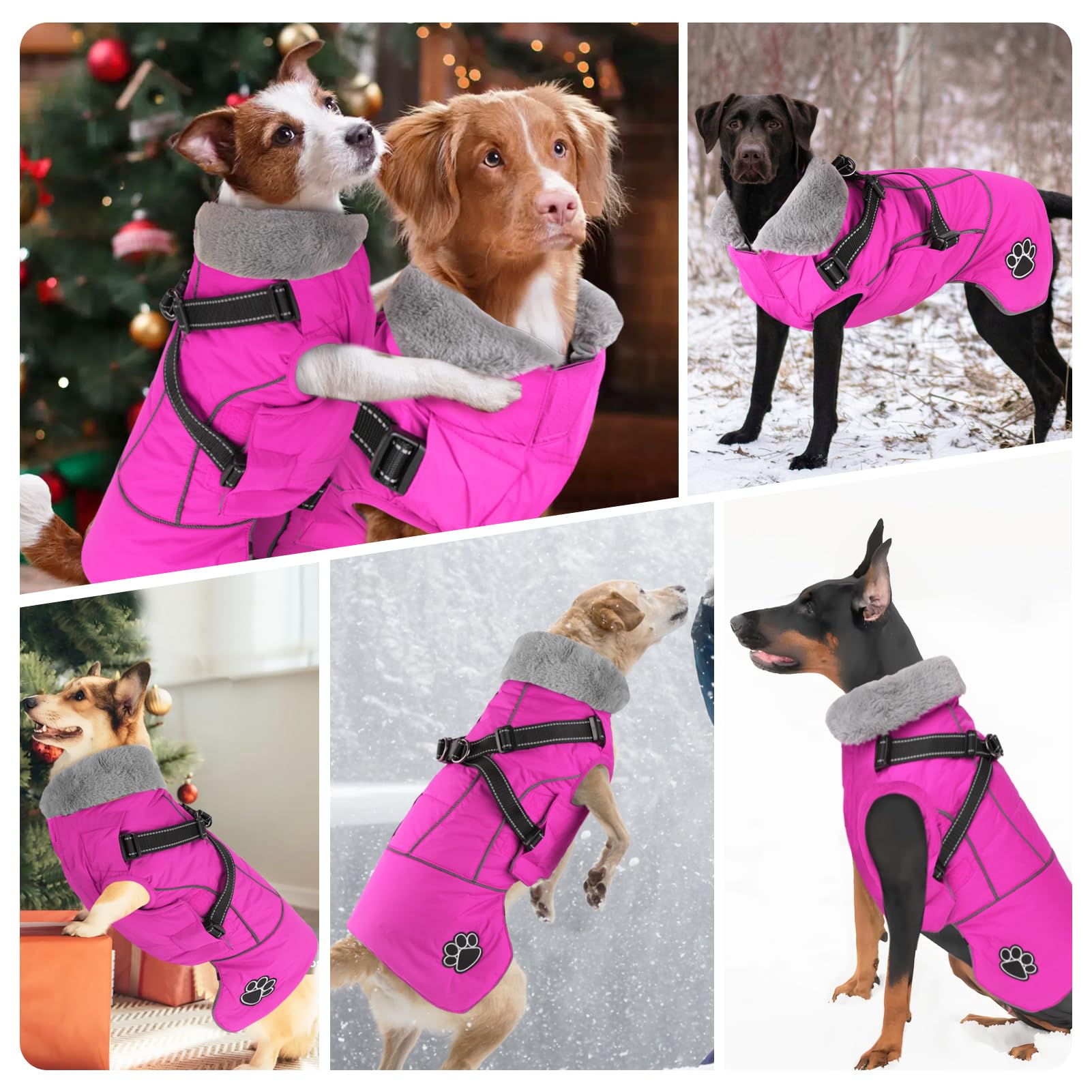 Doglay warm collar and cozy lining provide extra warmth in cold weather