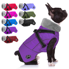 Doglay waterproof dog jacket keeps your pup dry on rainy walks