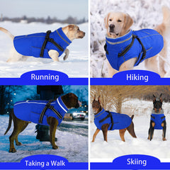 Waterproof outer layer keeps your dog dry in wet weather.