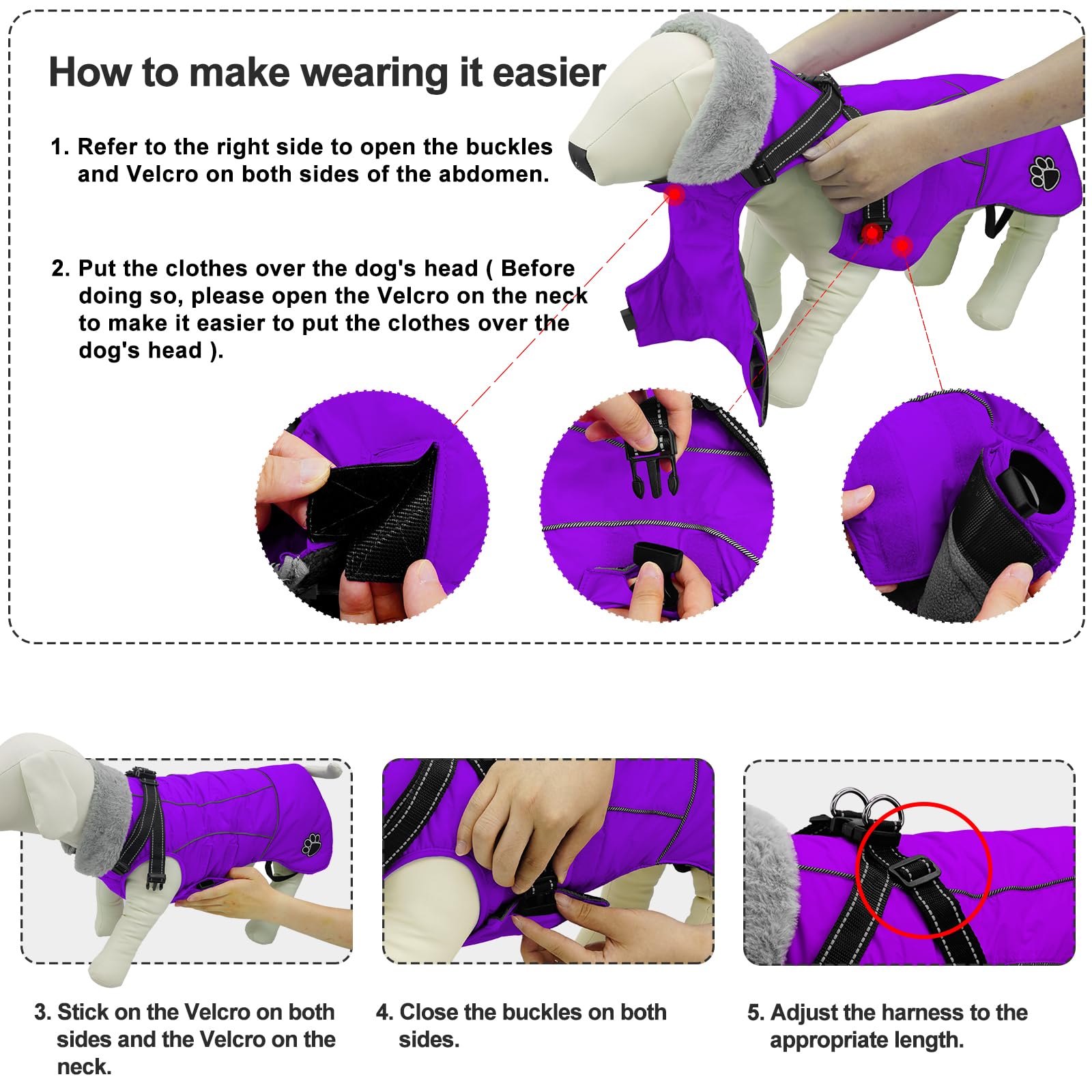 Doglay windproof jacket protects your dog from chilly winds outdoors