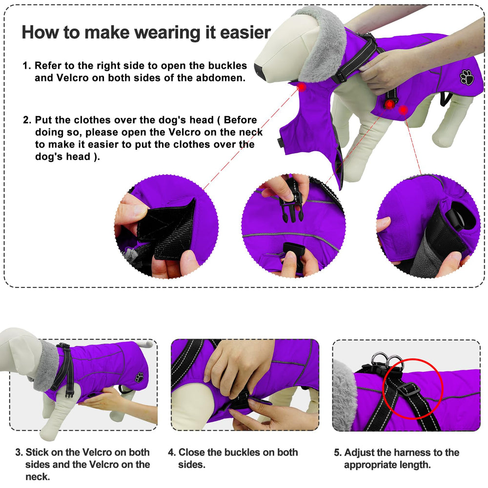 Doglay windproof jacket protects your dog from chilly winds outdoors