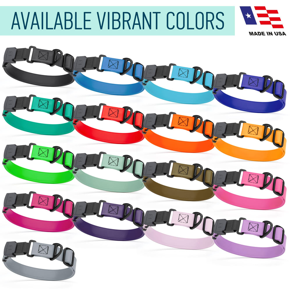 Dogline collar with rustproof hardware enabling year-round wear in rain, snow, and sun