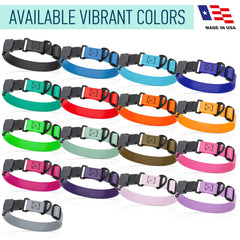 Dogline collar with rustproof hardware enabling year-round wear in rain, snow, and sun