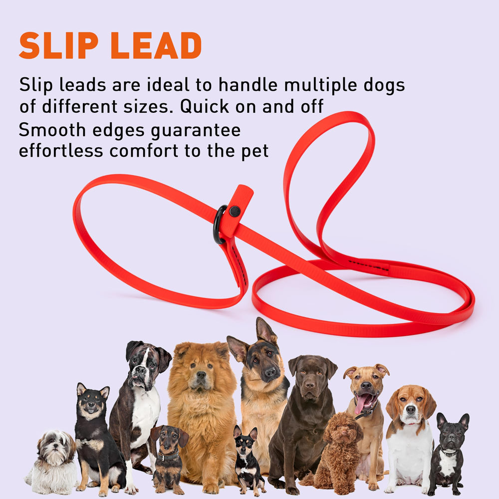 Dogline Biothane Slip Leash durability test image showing outdoor reliability.