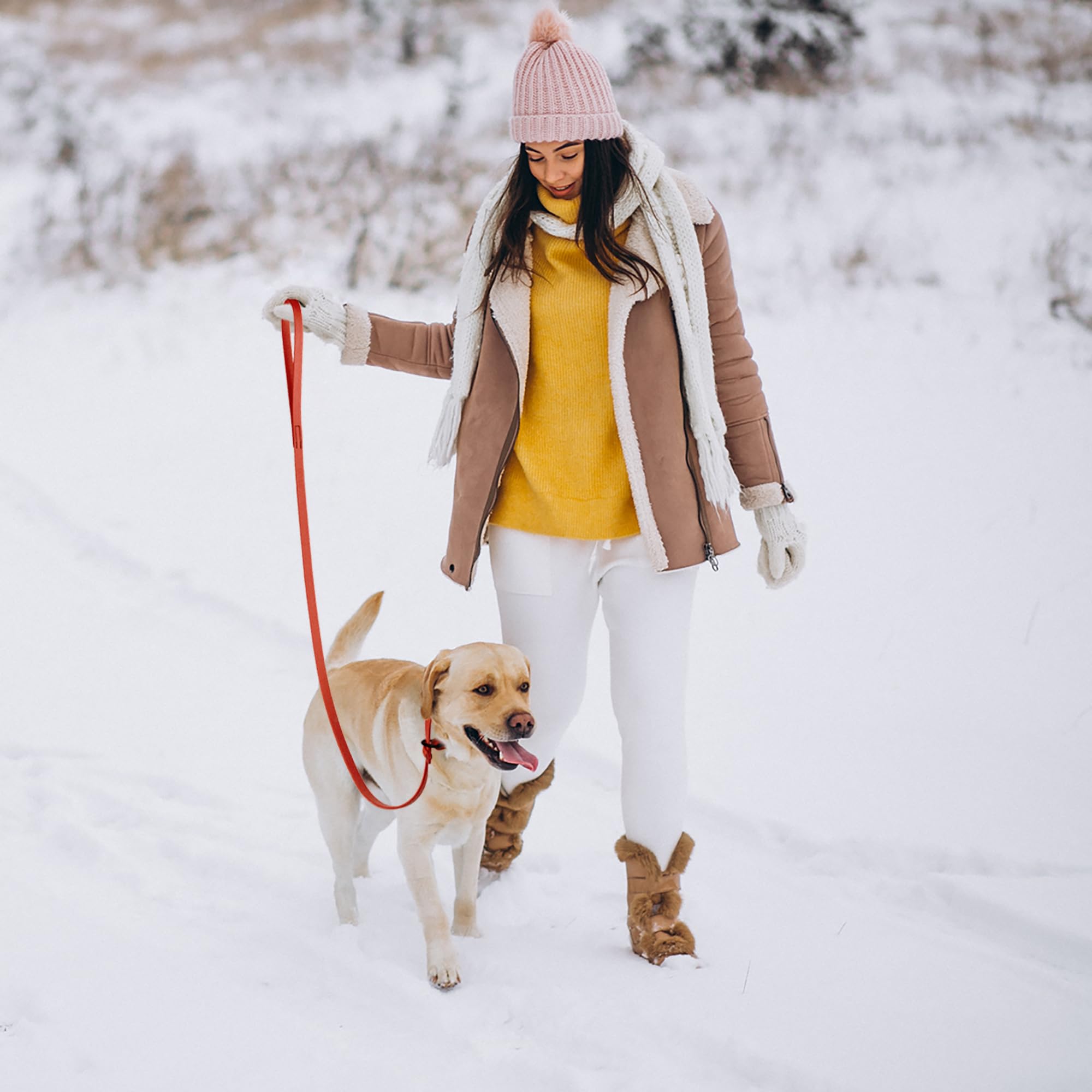 Dogline Slip Leash USA-made label confirms American craftsmanship.