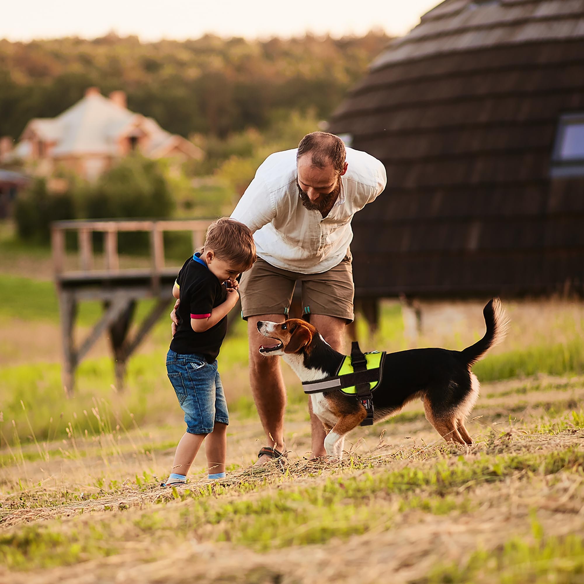 Dogline lime-green harness enhances visibility and style.