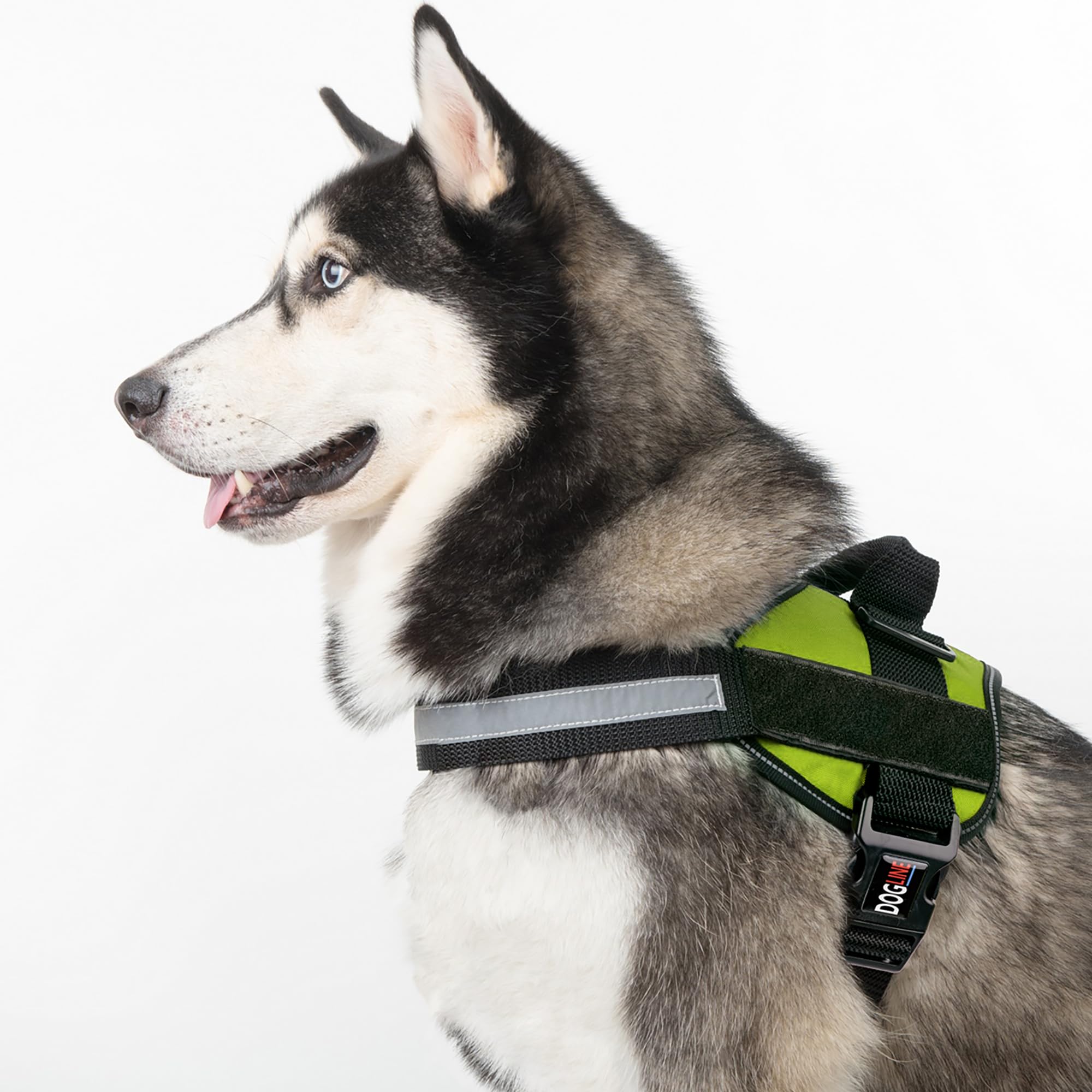 Dogline size-chart XS to XL ensures versatile fit.