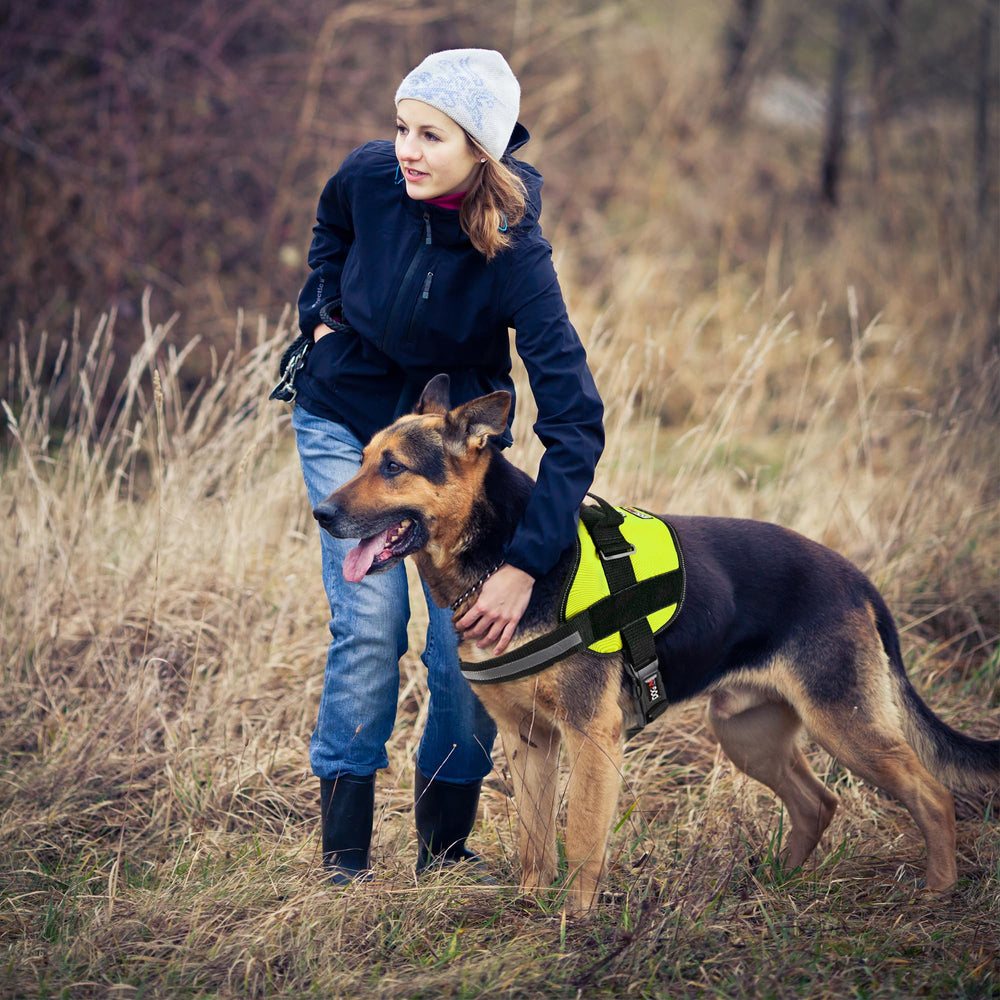 Dogline top handle aids lifting and guiding during walks.