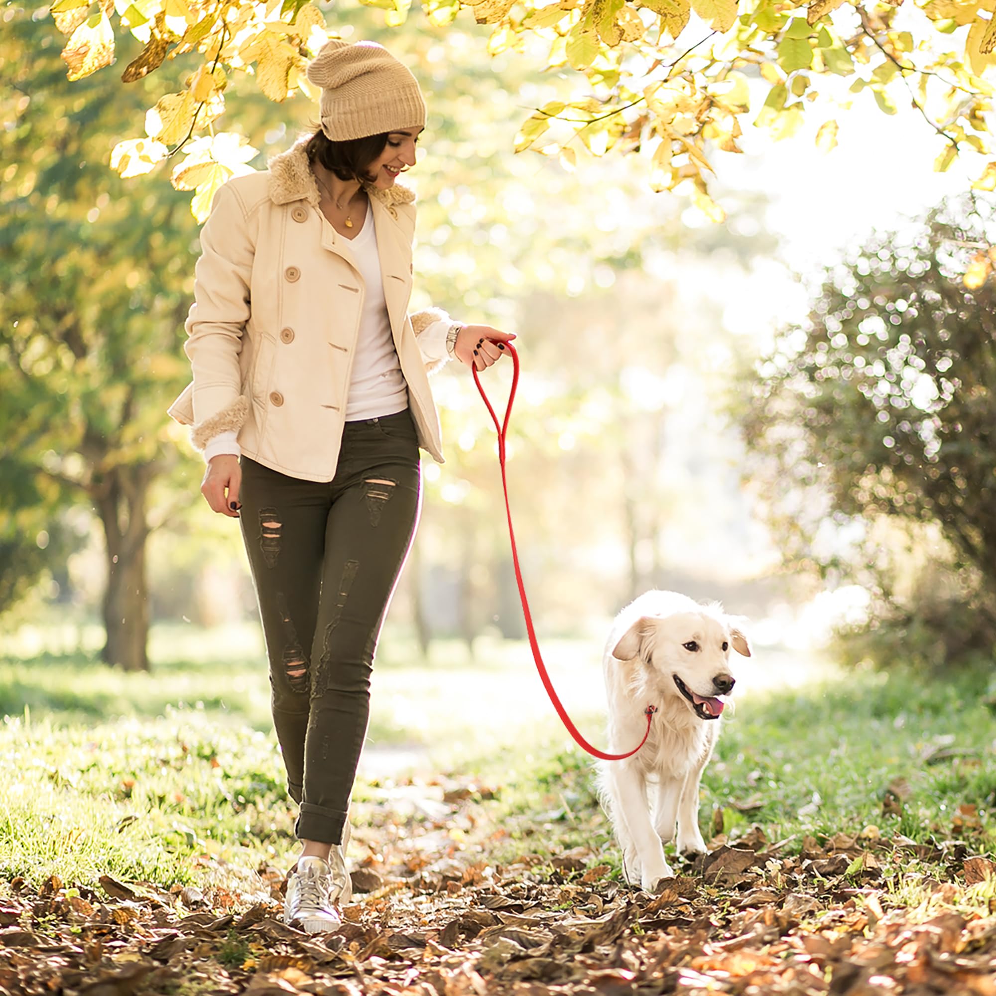 Dogline Slip Leash color-options include 25 colors for style.