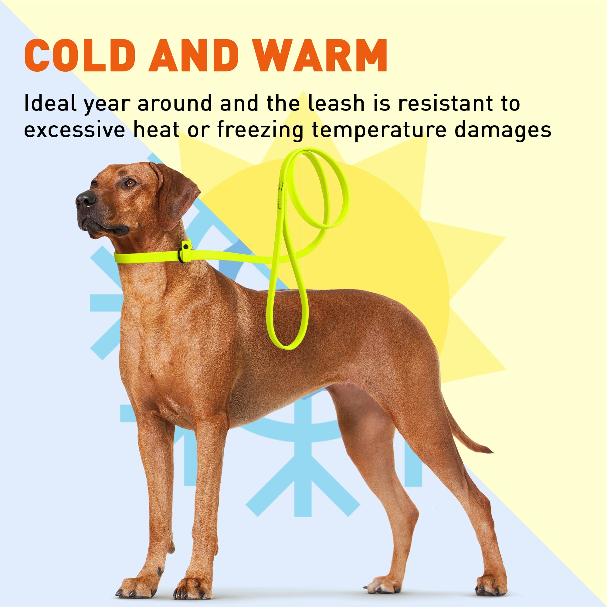Dogline Slip Leash Kennel Breeder Use — practical for rescues and kennels.