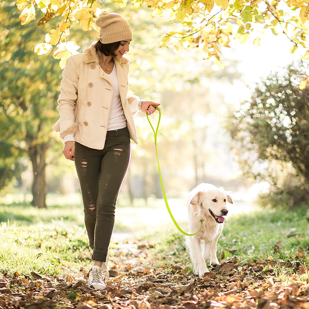 Dogline Slip Leash Odor-Free Biothane — easy cleaning and freshness.