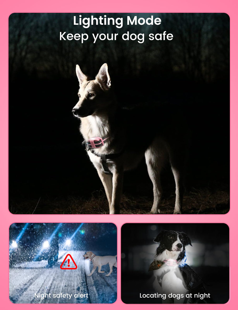 DOGLinsen receivers illuminate with LED for safer night-time walks.