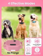 DOGLinsen waterproof receivers ready for rain, mud, or swimming in any season.