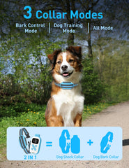 DOGLinsen remote and collar setup shows long-range training capability.