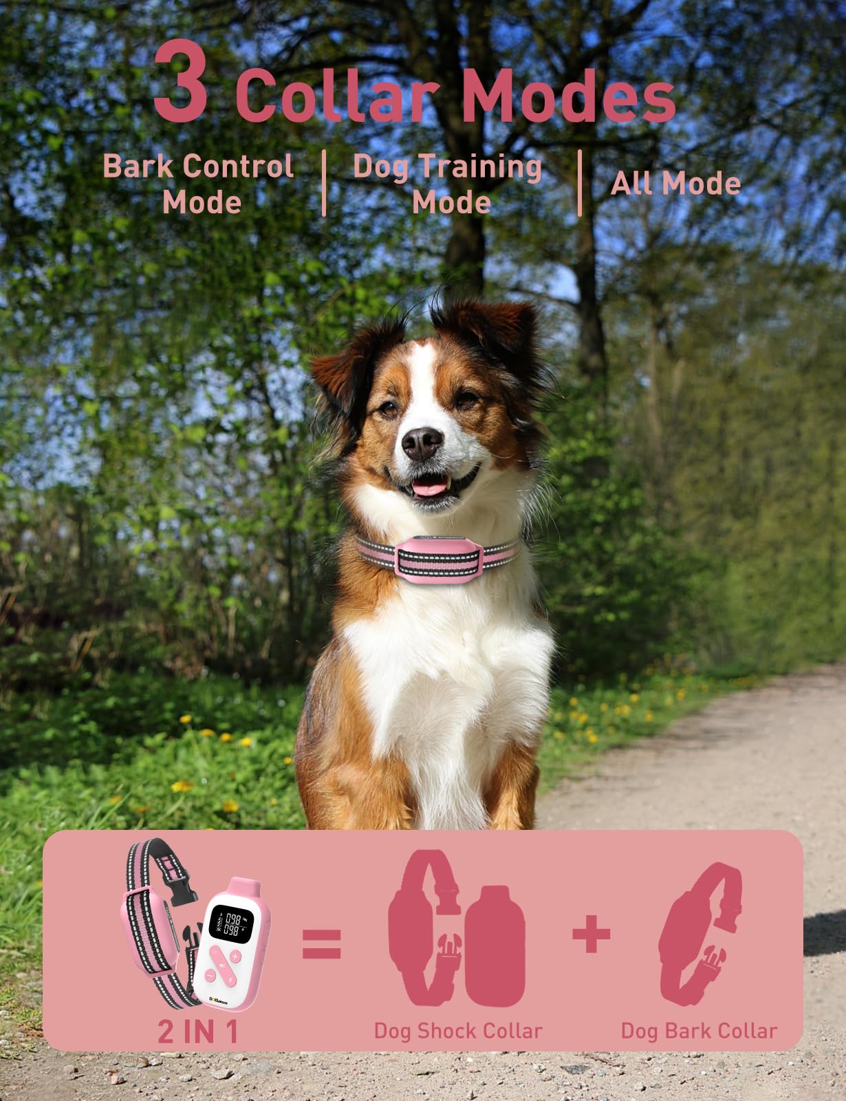 DOGLinsen remote control training for at-a-distance guidance