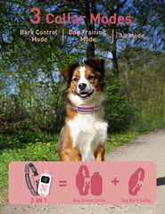DOGLinsen remote control training for at-a-distance guidance