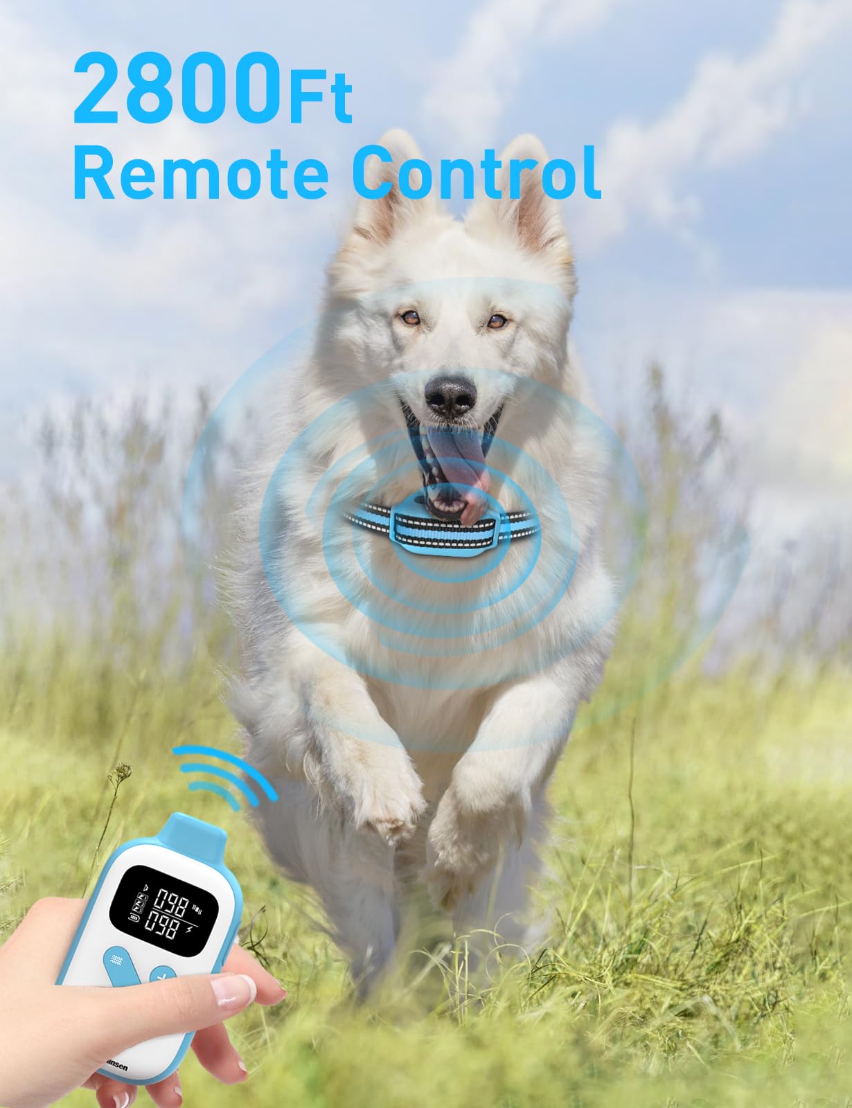 DOGLinsen collar range up to 2800 ft enables leash-free learning.