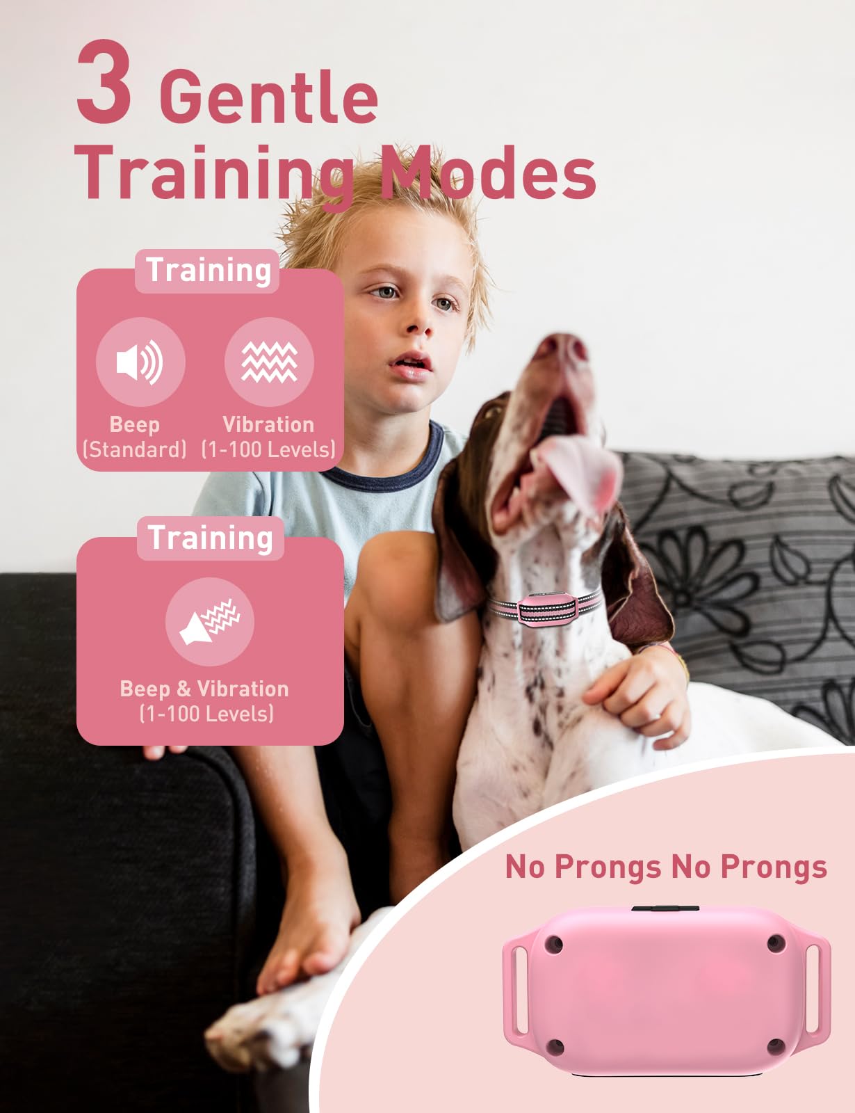 DOGLinsen three-channel setup enables simultaneous training for multiple dogs.