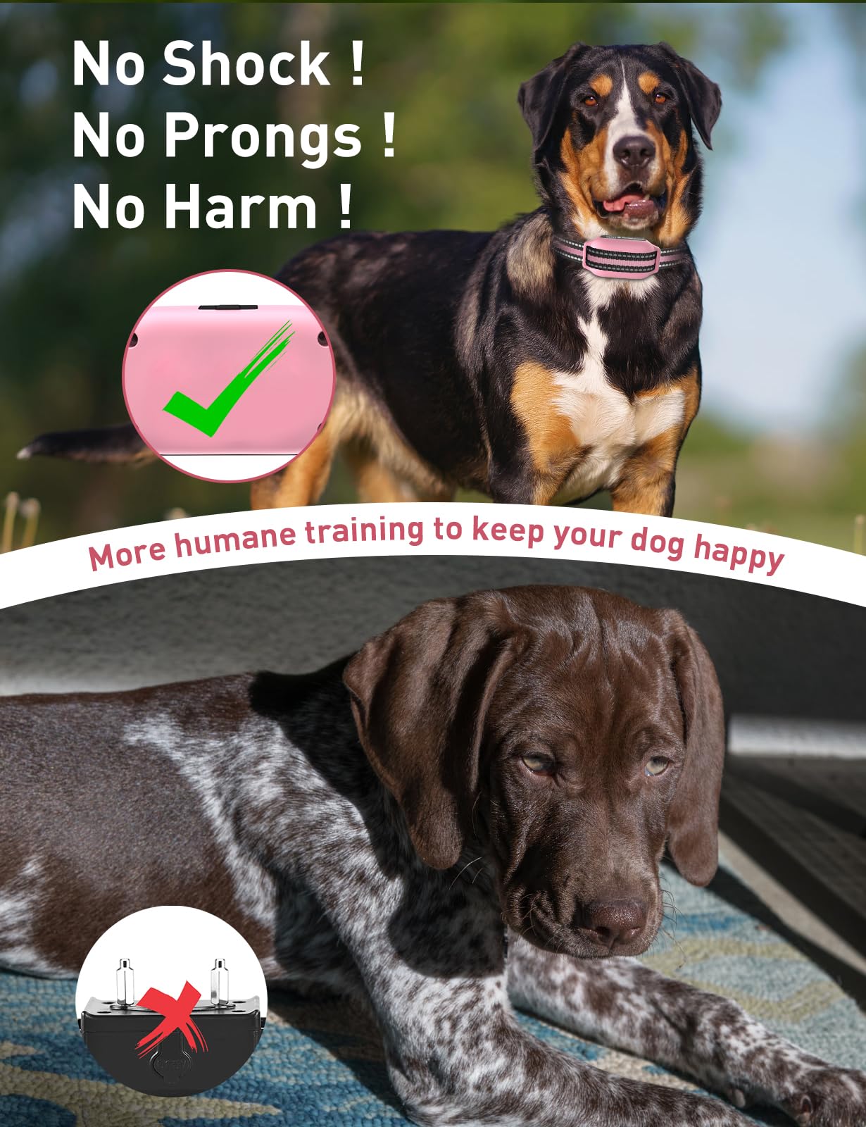 DOGLinsen training modes render gentle cues via beep and vibration.