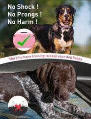 DOGLinsen training modes render gentle cues via beep and vibration.