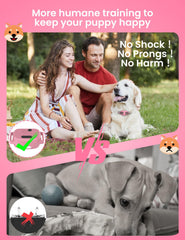 DOGLinsen vibration collars on dogs' necks demonstrate gentle training without shock.