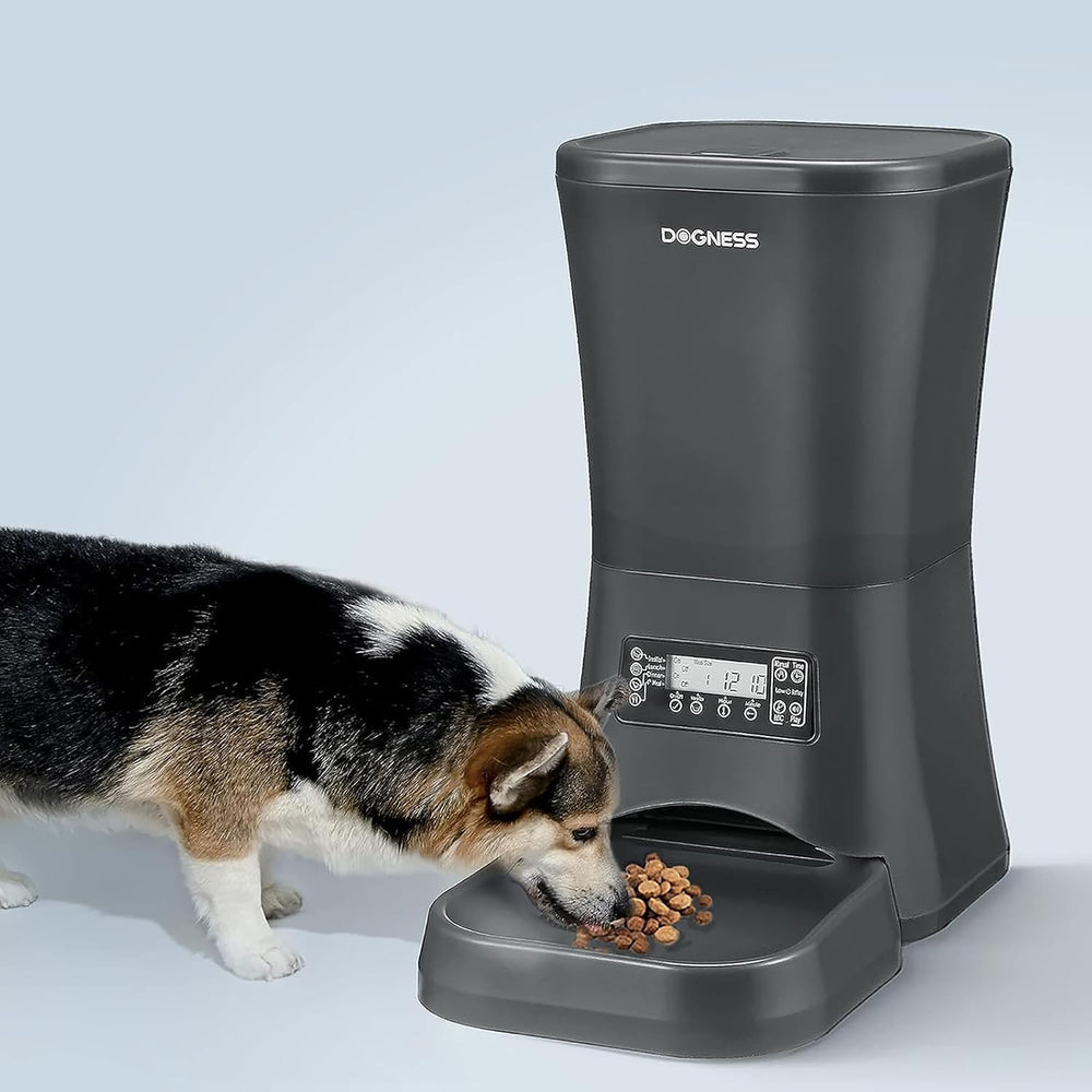 DOGNESS automatic feeder timer setup demonstrates precise meal scheduling for pets.