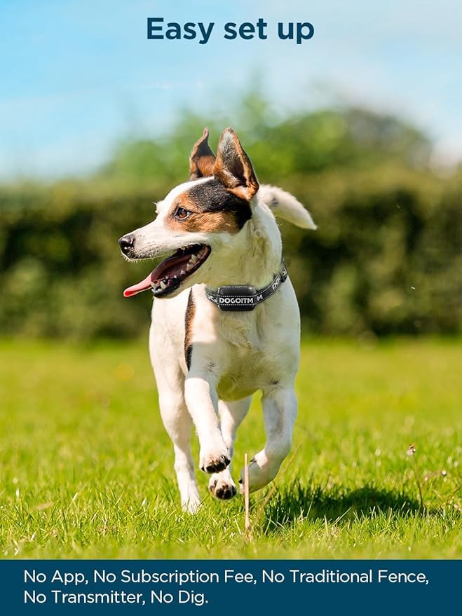 DOGOITM easy setup image shows transmitter-free installation and no subscription required