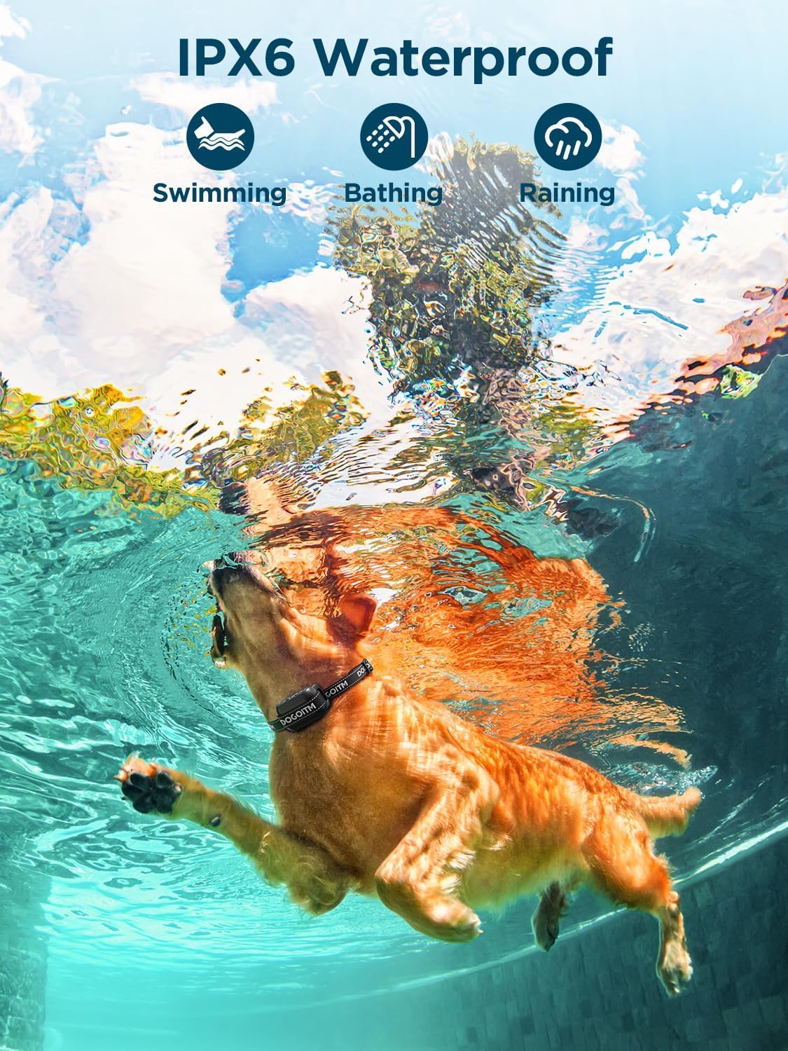 DOGOITM outdoor-ready fence setup demonstrates quick installation for real-world use