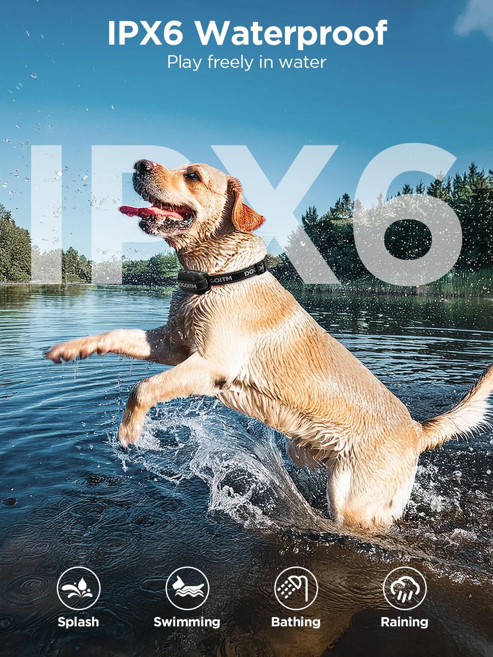 DOGOITM dual-dog containment design supports two dogs safely outdoors.