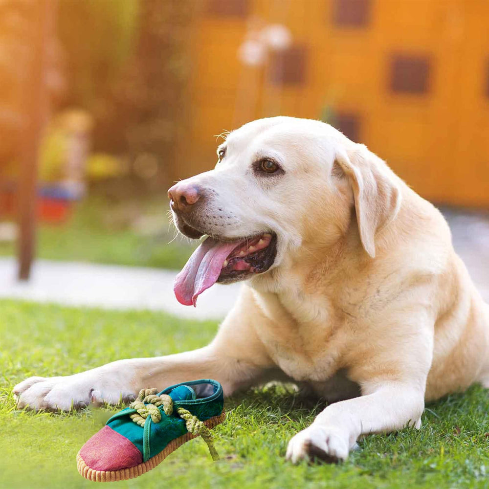 Dogowu teeth-cleaning-inspired toy massages gums during chewing.