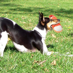 DOGOWU durable-dog-toy promises long-lasting chewing fun for curious, active pets