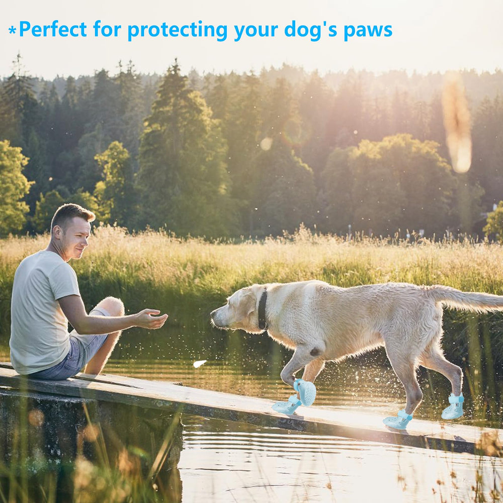 DOGOYS dog-shoes reflective-straps night-visibility help safer evening strolls