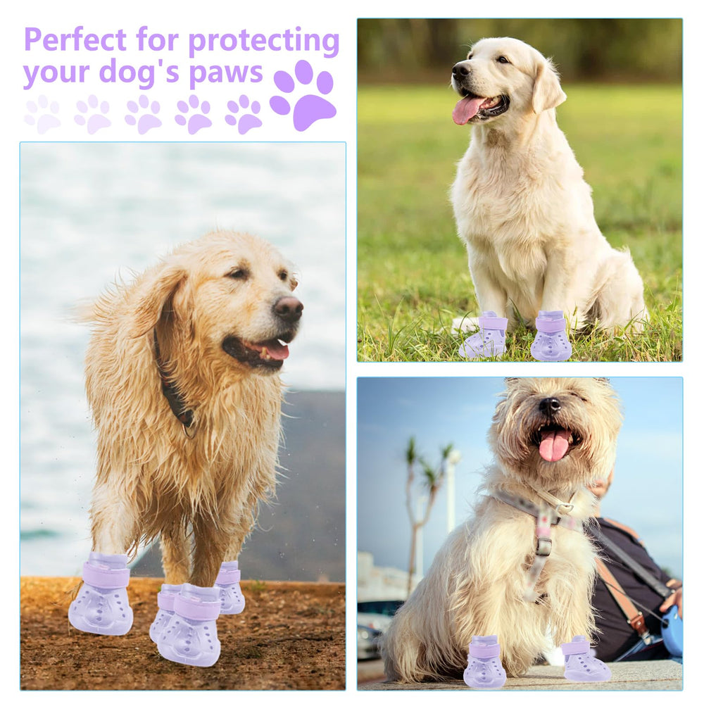 DOGOYS waterproof dog boots on wet pavement create dry paws.