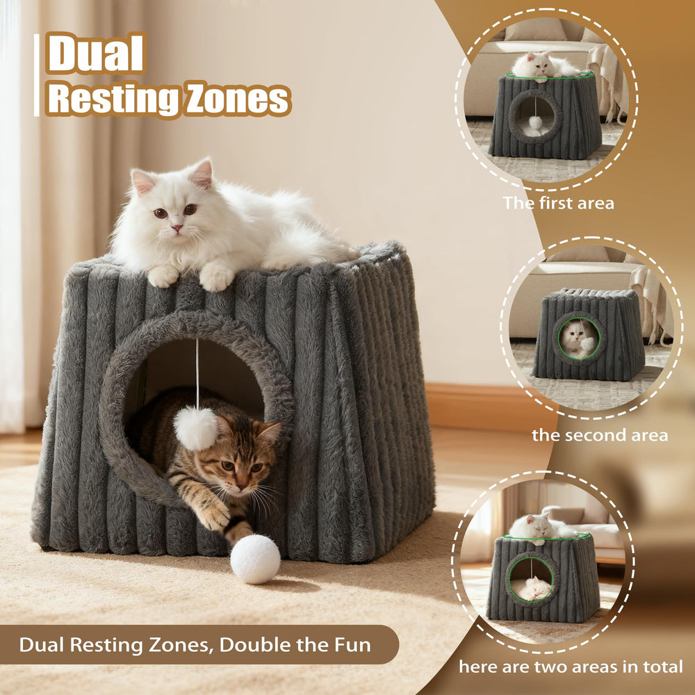 Dogpals cat house scratch pads offer claw-safe play and exploration.