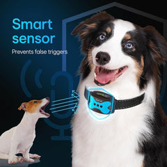 DogRook vibration mode 2 provides additional gentle cues for training.