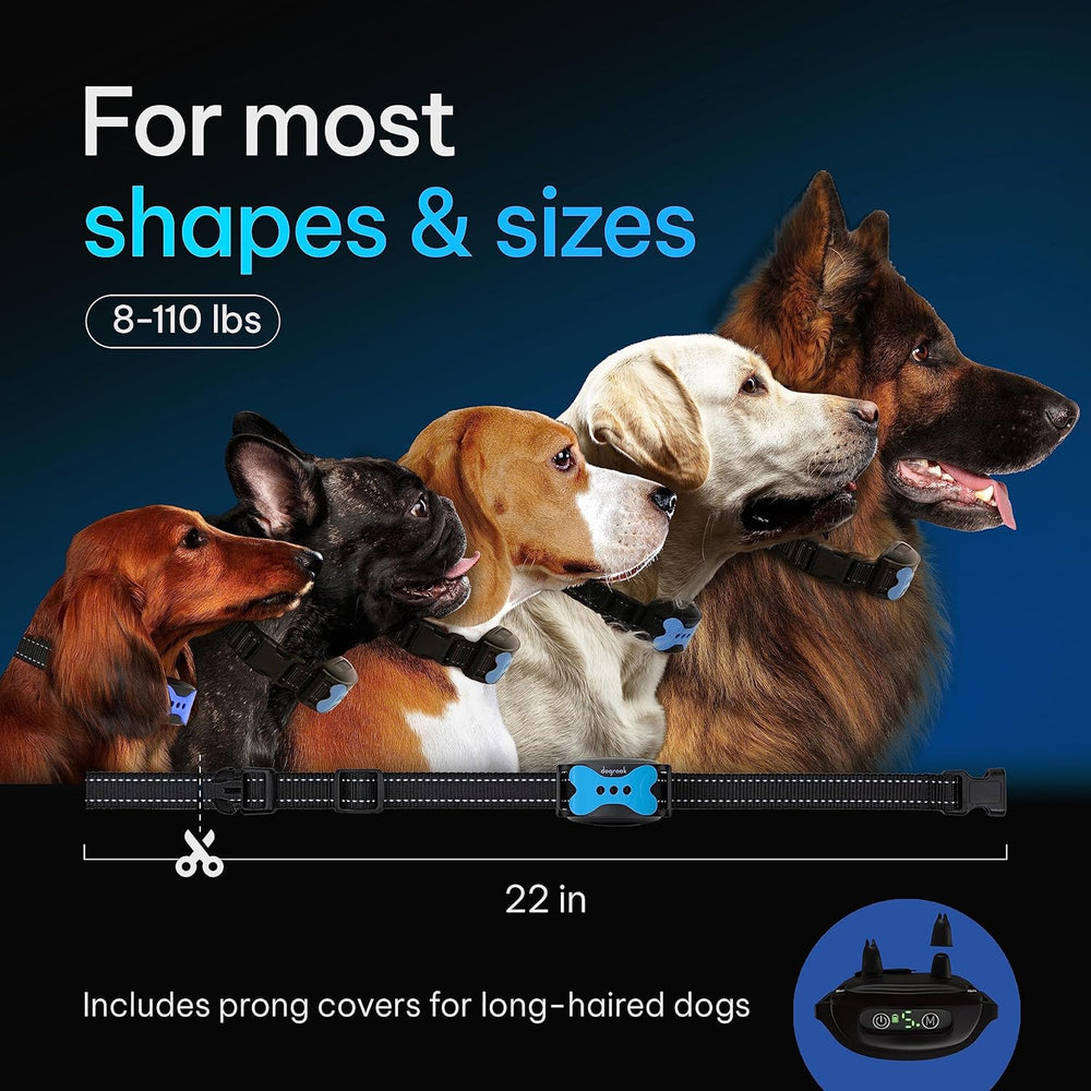 DogRook waterproof dog collar stands up to rain and play during training.