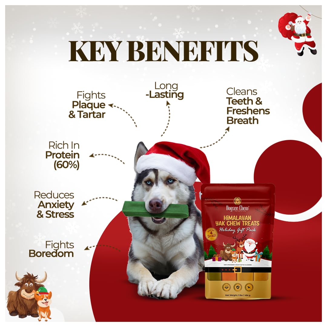 Dogsee Festive mint chew close-up signaling fresh breath benefits after treats.