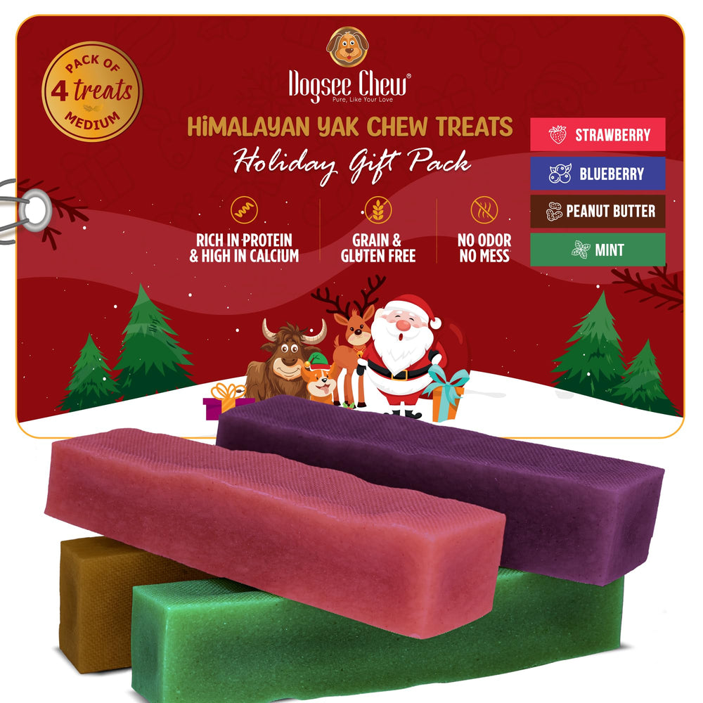 Dogsee Festive strawberry chew package showing dental health benefits.