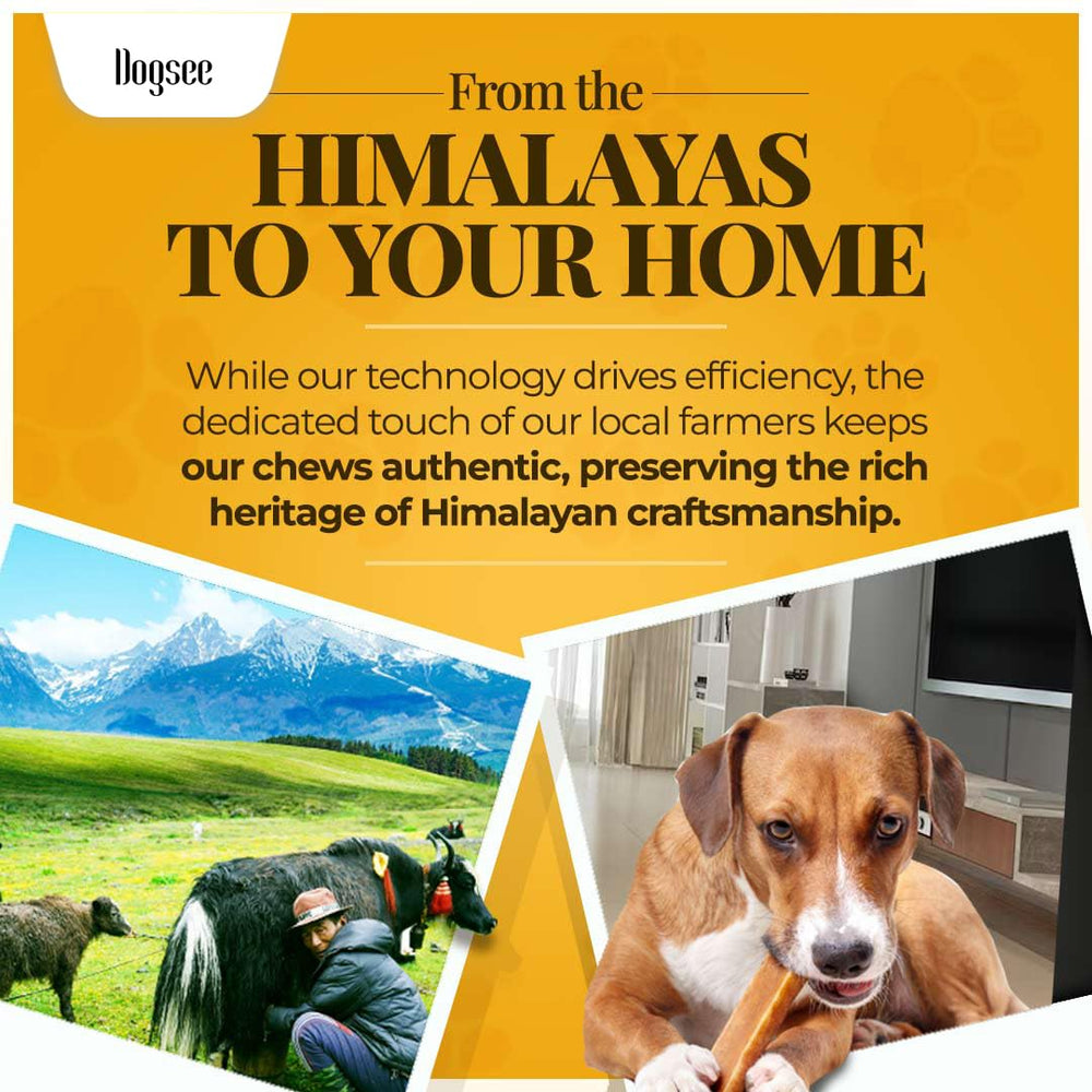 Dogsee Original Himalayan Yak Chews gluten-free and lactose-free