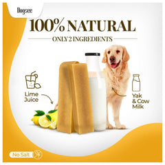 Dogsee Yak Chews closeup texture — hard, durable chew for energetic chewers