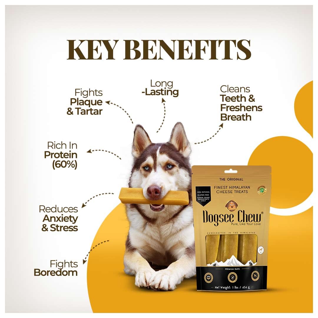 Dogsee Yak Chews long-lasting chew in action for busy dogs