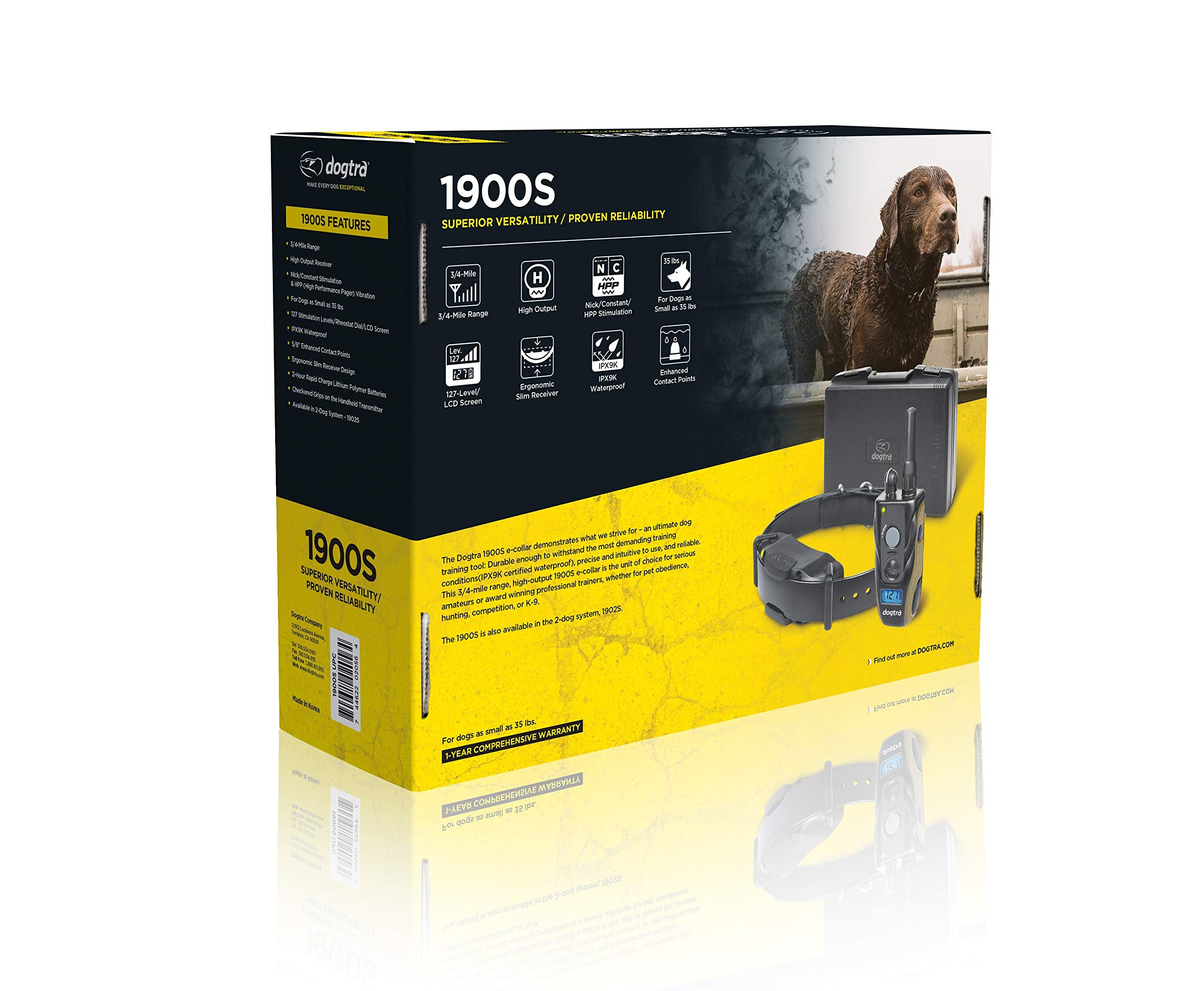 Dogtra 1900S dog in training using e-collar outdoors.